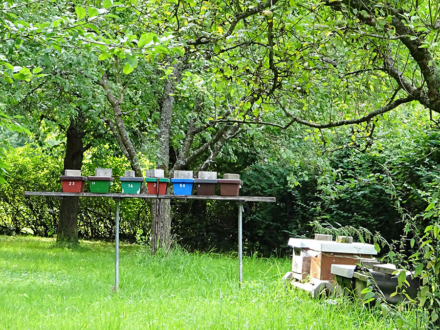 Lehrtafel am Lehrbienenstand